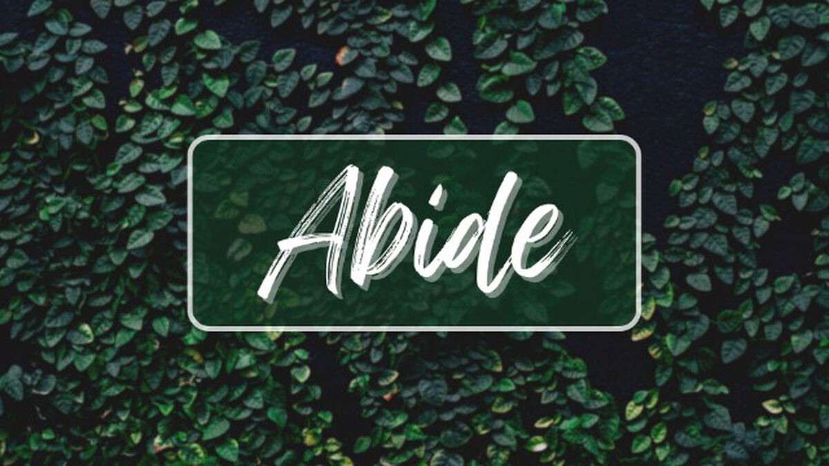 Abide Prayer Experience image number 0